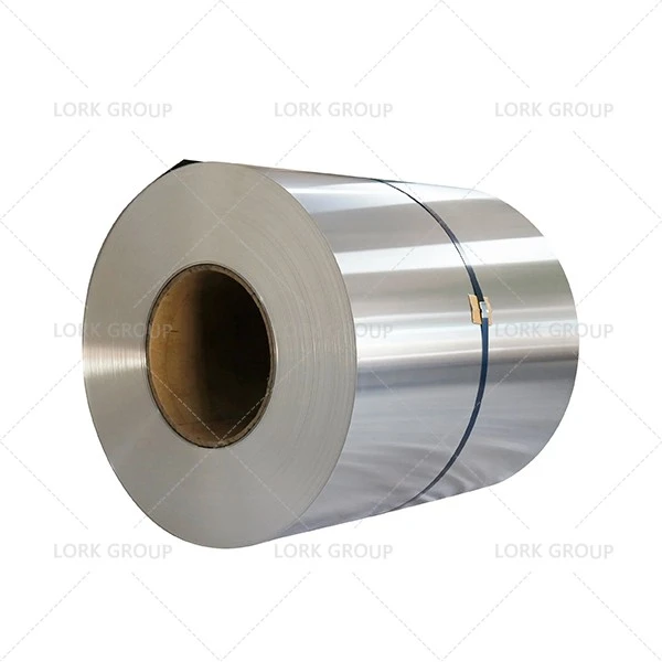 W.Nr.2.4880 Haynes HR 160 Nickel Alloy best